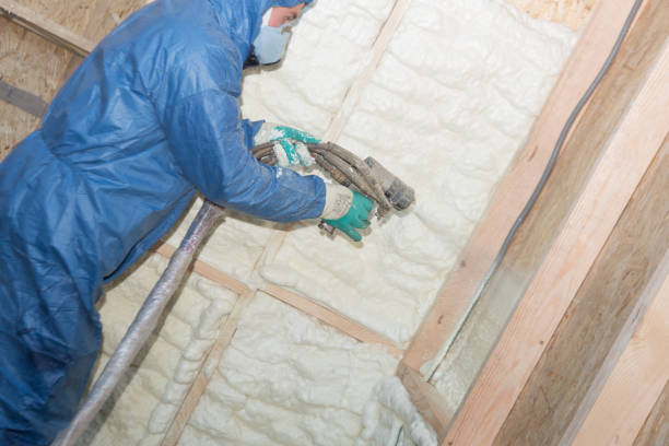 Best Pipe and Duct Insulation  in Murfreesboro, AR